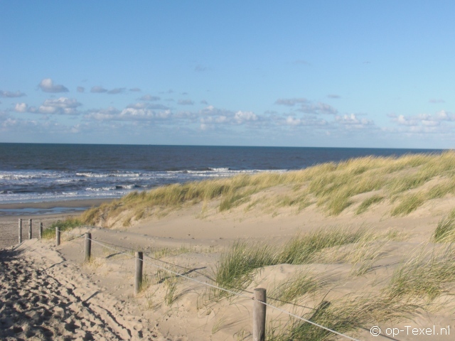 Texel 118