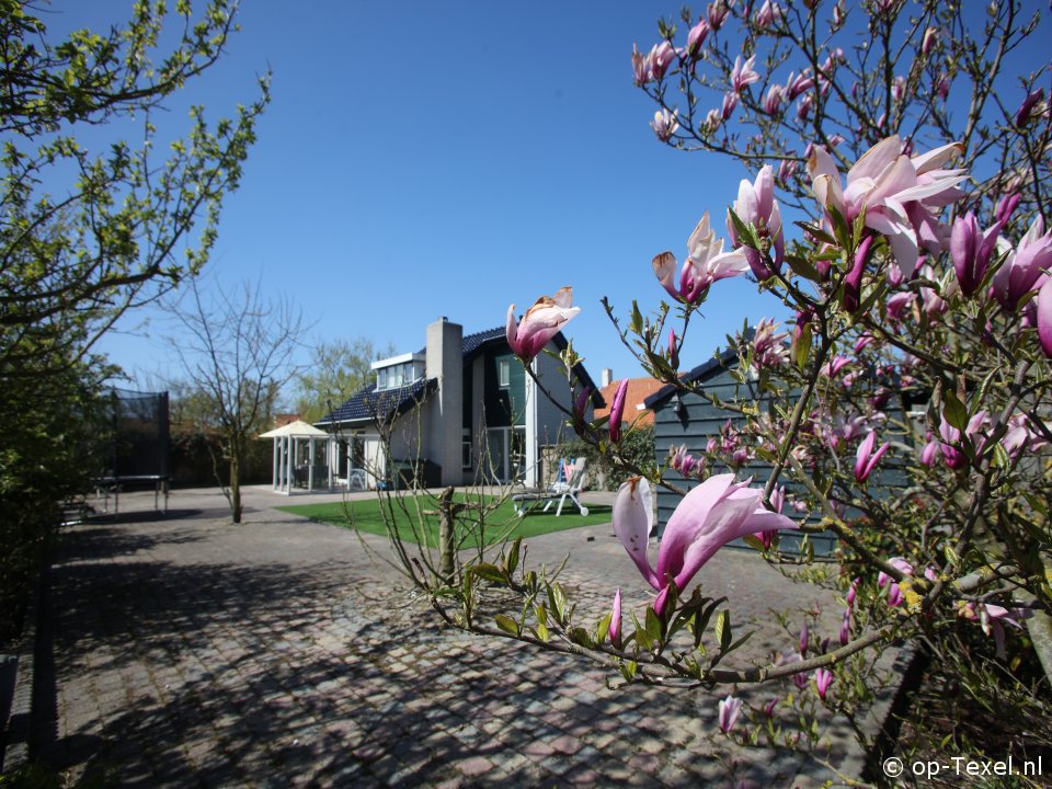 Blom en Co, Ecomare op Texel