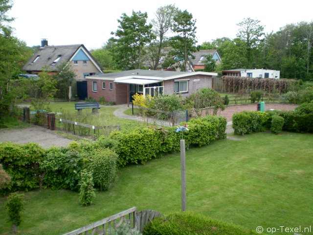 De Kemphaan