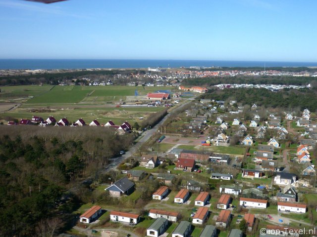 De Kemphaan
